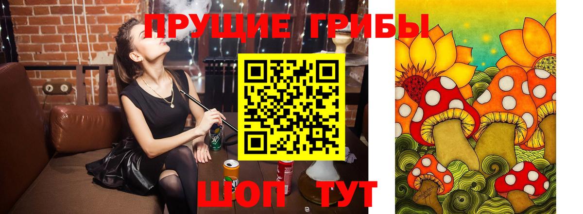 Амурск  Псилоцибиновые грибы GOLDEN TEACHER  Вход с VPN 